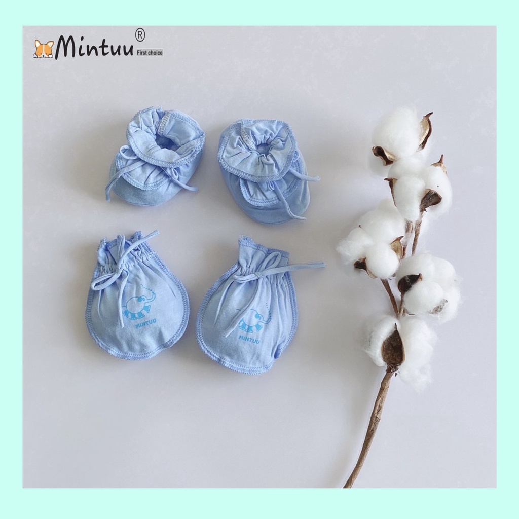 Set 5 bộ bao tay chân sơ sinh cho bé vắt màu, chất liệu vải 100% cotton, thương hiệu MINTUU