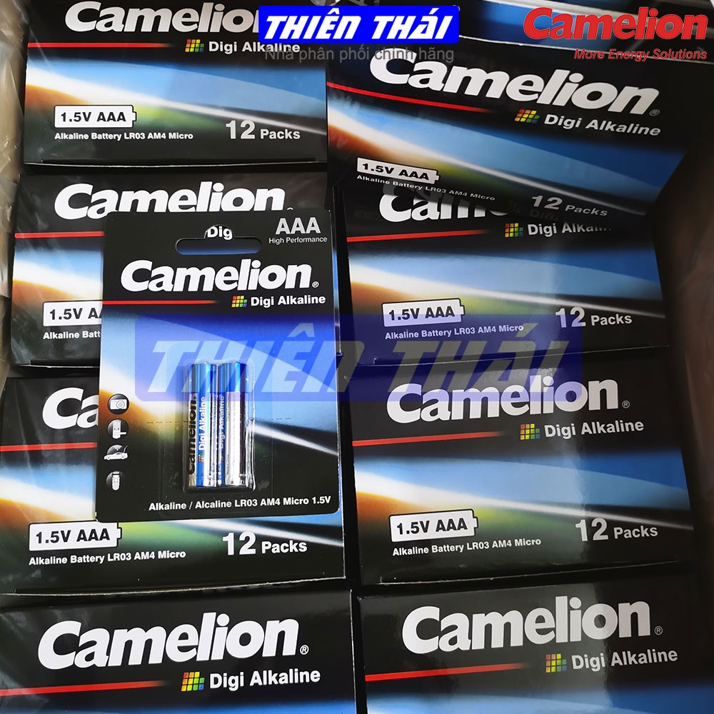 Pin tiểu Camelion,pin đũa Camelion,pin kiềm,pin alkaline,pin 1.5V.pin AA alkaline,pin AAA,pin LR6,pin LR03