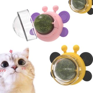 Catnip, cỏ mèo dán tường, cỏ bạc hà mèo, cỏ mèo, đồ chơi cho mèo
