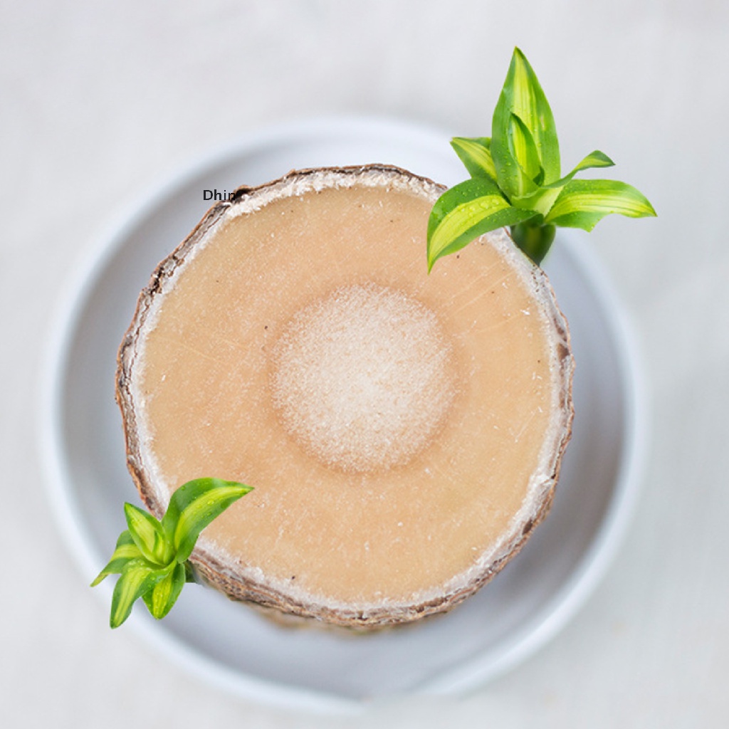 [Dhin] Chậu Cây Nhỏ Groot er Trang Trí Nhà Cửa / Văn Phòng