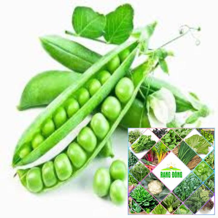 10gr hạt giống đậu hà lan