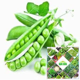 10gr hạt giống đậu hà lan