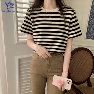 Áo phông nữ thời trang thiết kế kẻ sọc chất XỐP  phong cách Hàn Quốc Shop pro PG05