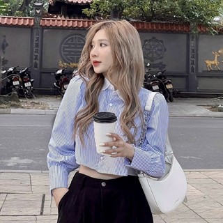 Áo Sơ Mi Kẻ Xanh Pha Cổ Trắng Chất Mềm Mát [Ảnh Thật]