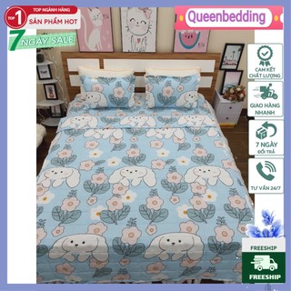 Bộ chăn hè ga gối 1m2x2m trần bông cotton poly