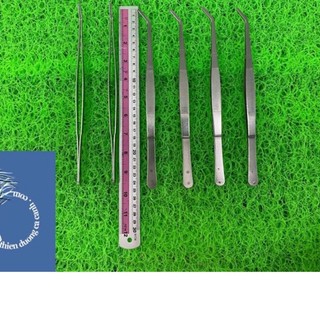 Nhíp Cong Đầu Trồng Cây Thủy Sinh 25cm Cho Hồ Cá - 1 Cây