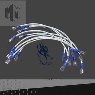 Dây chịu nhiệt 19cm có 2 đầu rắc cắm