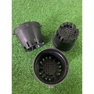 Chậu nhựa trồng lan (phi 16 ít lỗ set 20 cái)