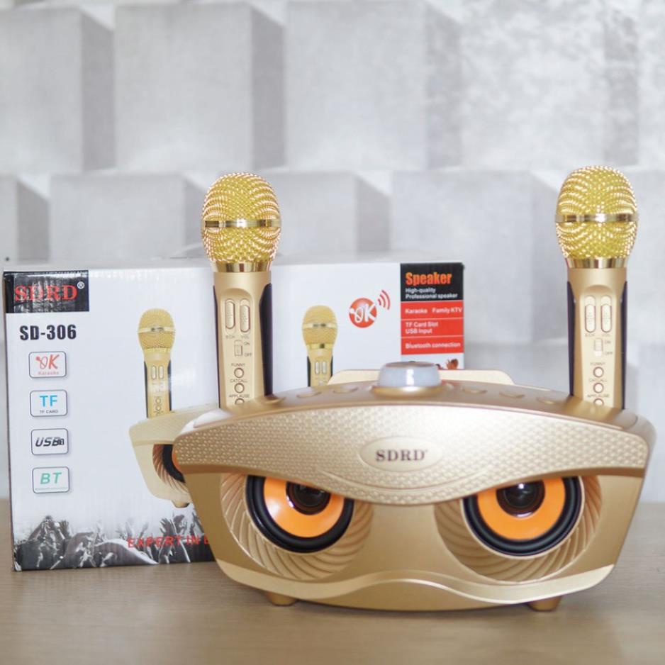 LOA KARAOKE SD309 Công Suất Lớn Kèm 2 Micro Không Dây Chỉnh ECHO, VOLUME