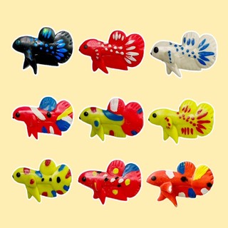Cây Kè Cá Betta ( 25cm - Bản Full ) -( MÀU NGẪU NHIÊN )