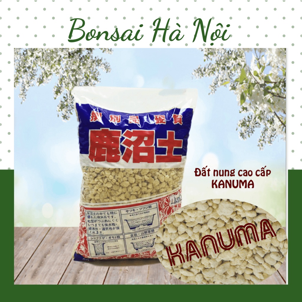 Đất Kanuma cao cấp trồng thuỷ sinh, sen đá, bonsai đỗ quyên (bao 8kg)