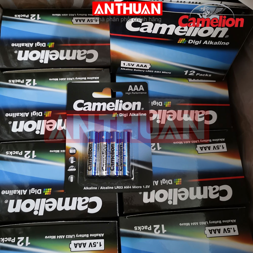 Pin tiểu Camelion,pin đũa Camelion,pin kiềm,pin alkaline,pin 1.5V.pin AA alkaline,pin AAA,pin LR6,pin LR03