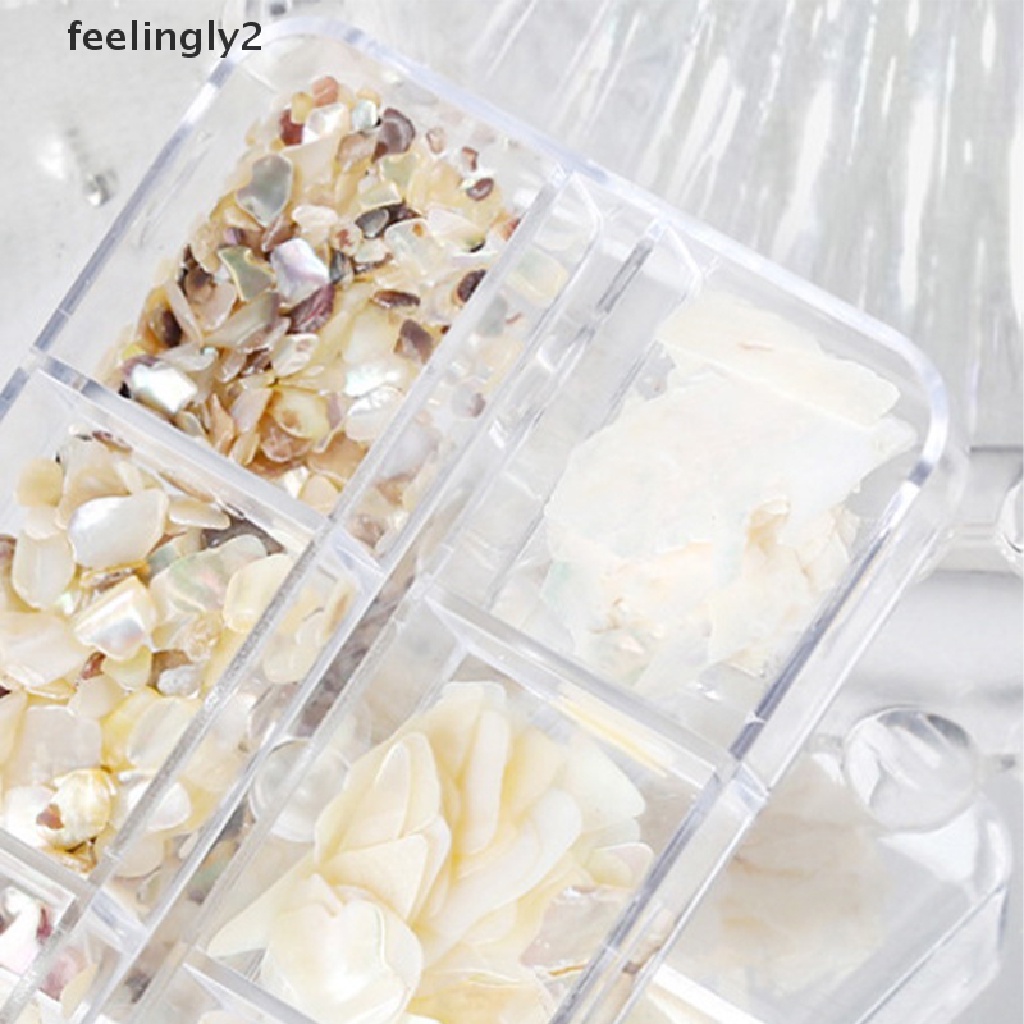 Hộp Vỏ Sò 3D Trang Trí Móng Tay 6 Ngăn Độc Đáo DIY