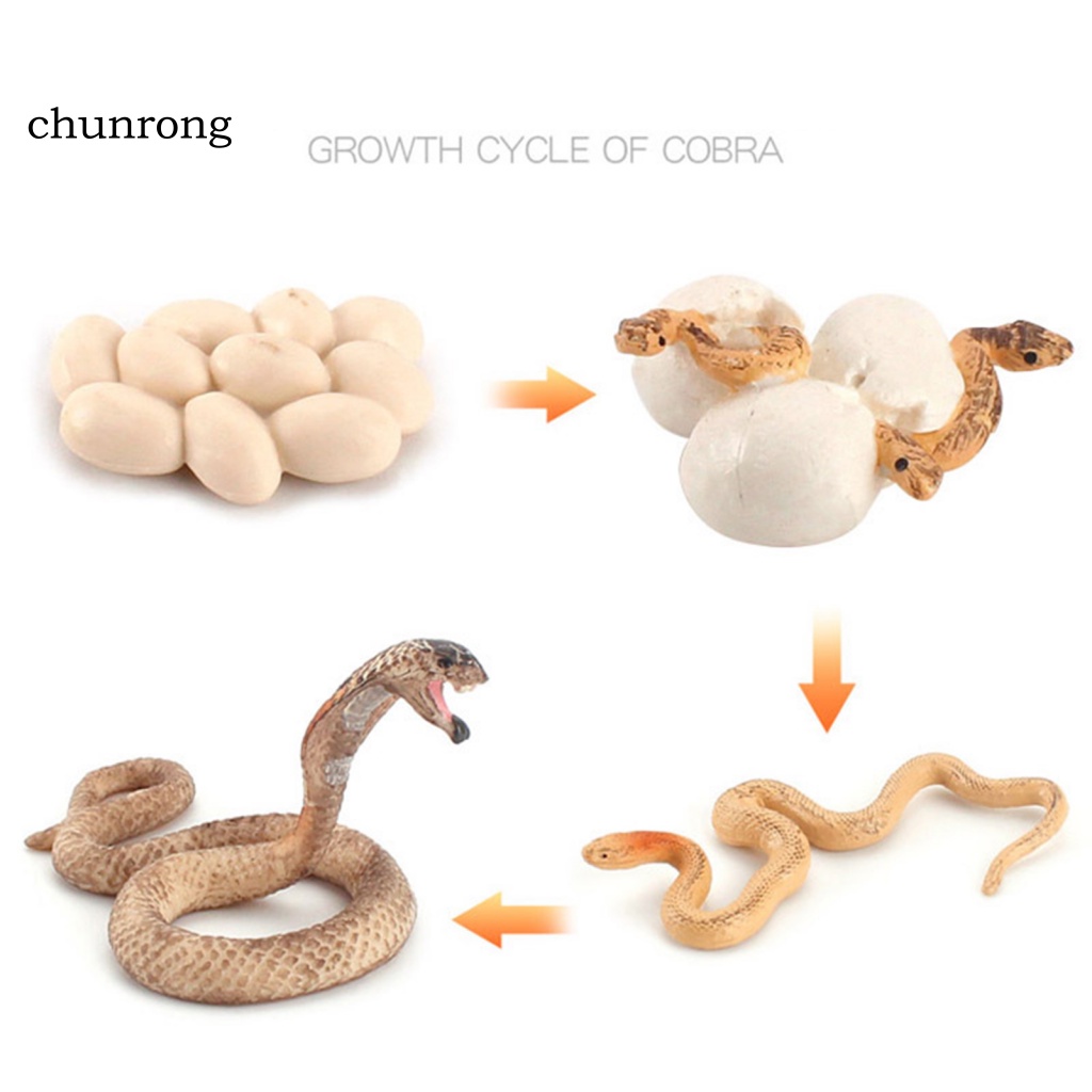 Cr Mô Hình Rắn Đồ Chơi Bằng Nhựa Cho Bé