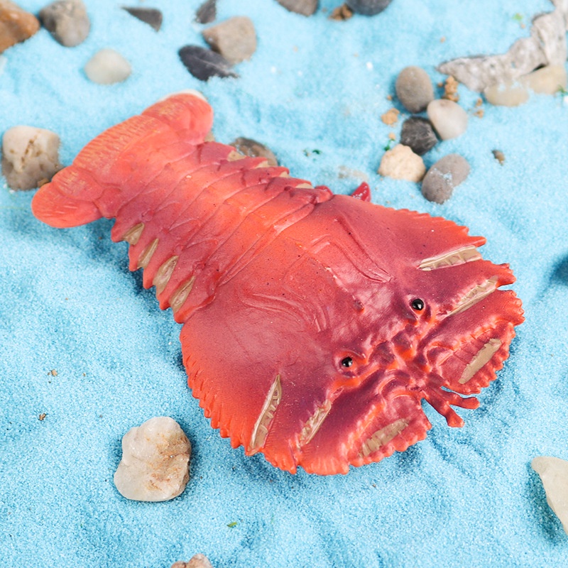 Đồ trang trí Tôm Cua / Cá Sinh Vật Biển Trưng Bày Trang Trí Cho Bé