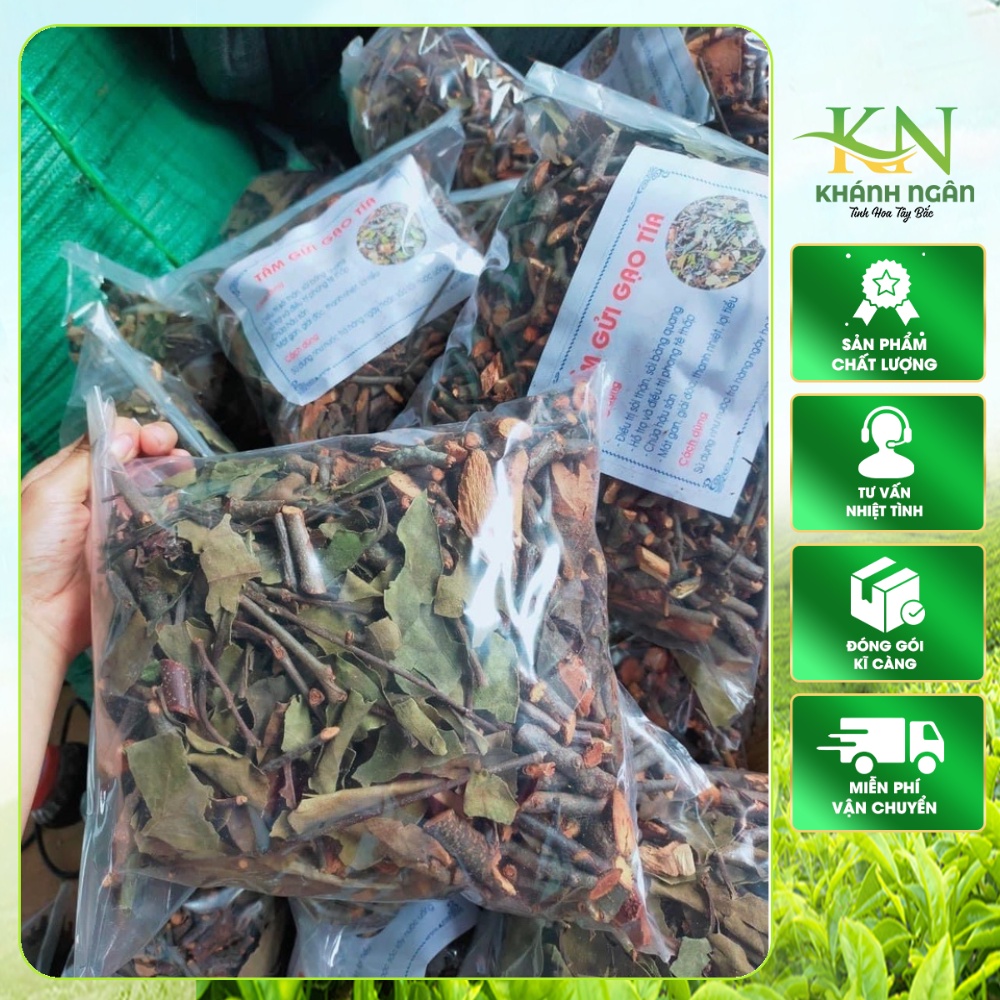 Tầm Gửi Gạo Tía Phơi Khô Tự Nhiên Đảm Bảo Chất Lượng Loại 1 - Dư.ợc Liệu Tây Bắc (1kg)