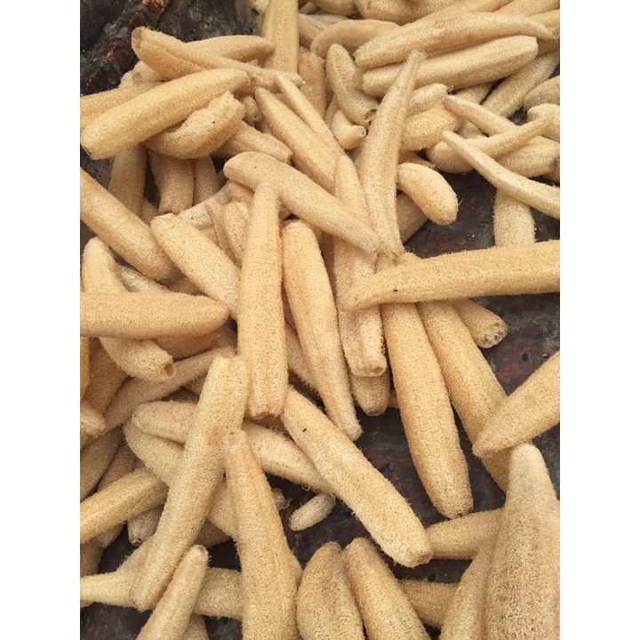 Xơ mướp dài 40-45cm