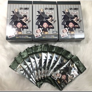 Gói thẻ nhân phẩm spy x family thẻ dạng Polaroid