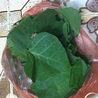 Lá Vông tươi -1kg