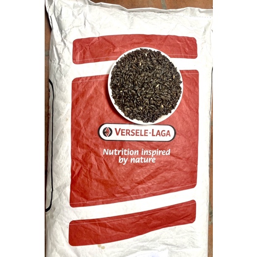 Hướng Dương Đen size nhỏ của Bỉ  gói 500g