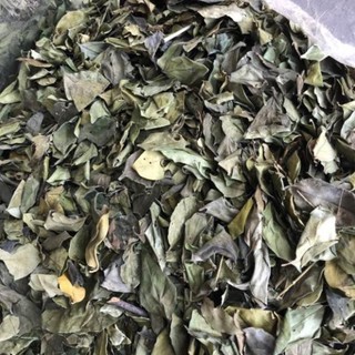 Lá thạch găng ,Lá thạch găn khô ,mát thanh nhiệt 500g