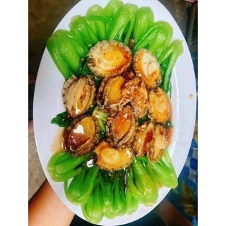 Bào ngư 1khay size 9 con (giao hoả tốc HCM)