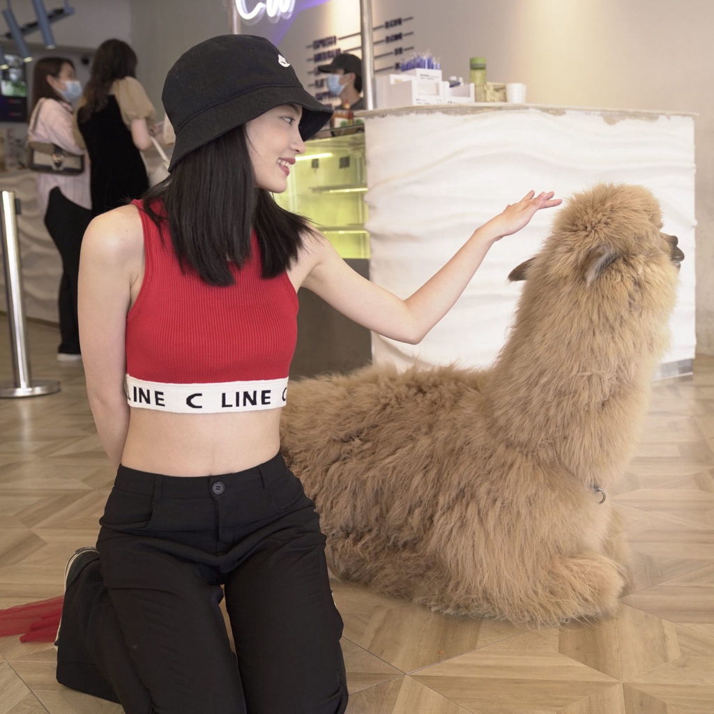 CELINE Áo Dệt Kim Hai Dây Sọc Ngang lisa Xu Lu Phong Cách Mới Cho Nữ