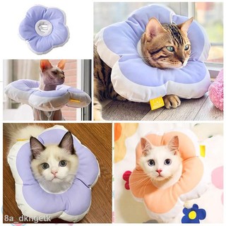 Vòng cổ chống liếm chó mèo