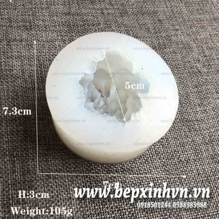 Khuôn silicon hoa cẩm chướng đại