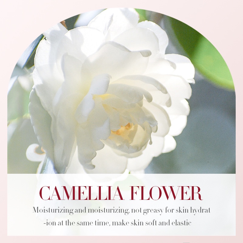 Tinh Chất Hoa Trà Bioaqua 30ml Dưỡng Ẩm Chống Oxy Hóa Cho Làn Da Mượt Mà