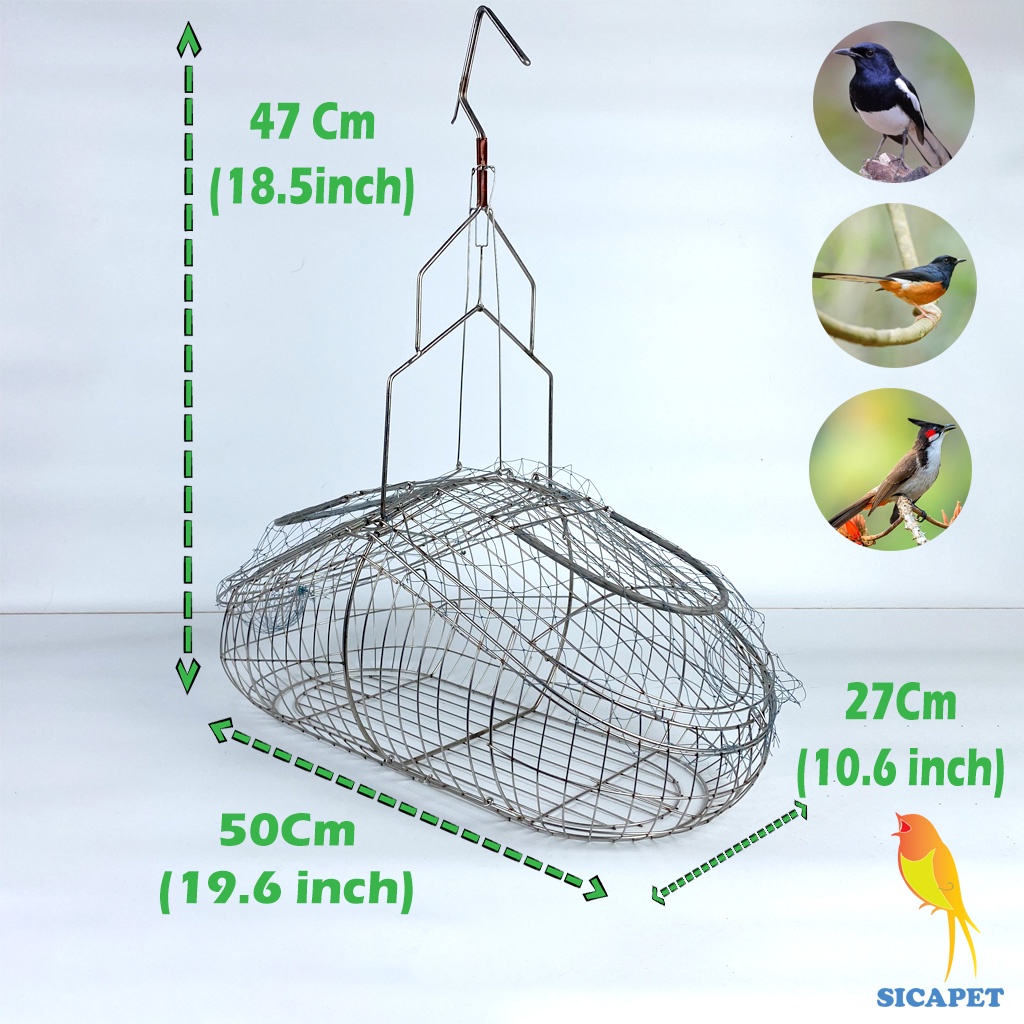 Lồng bẫy chim chào mào - chích chòe, Lồng bẫy chim khuyên, Bẫy chào mào chất liệu INOX không rỉ SICAPET