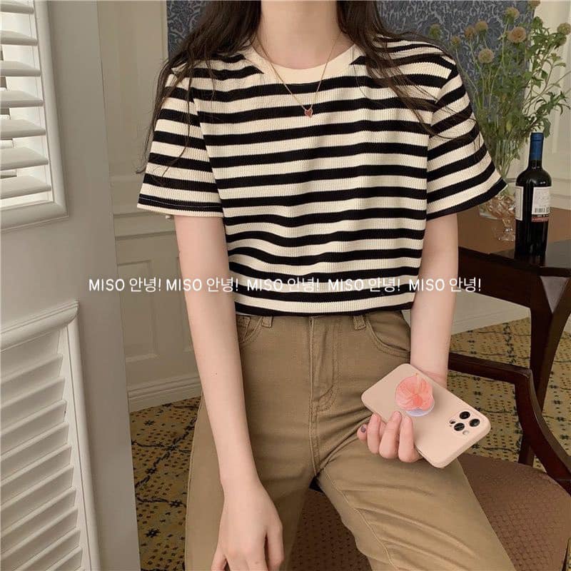 Áo len tăm kẻ to qccc