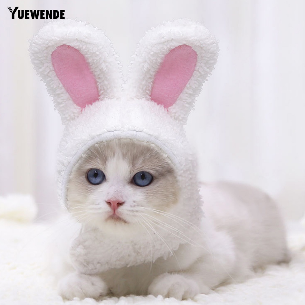 Mũ Cotton Tai Thỏ Hoạt Hình Đáng Yêu Cho Thú Cưng