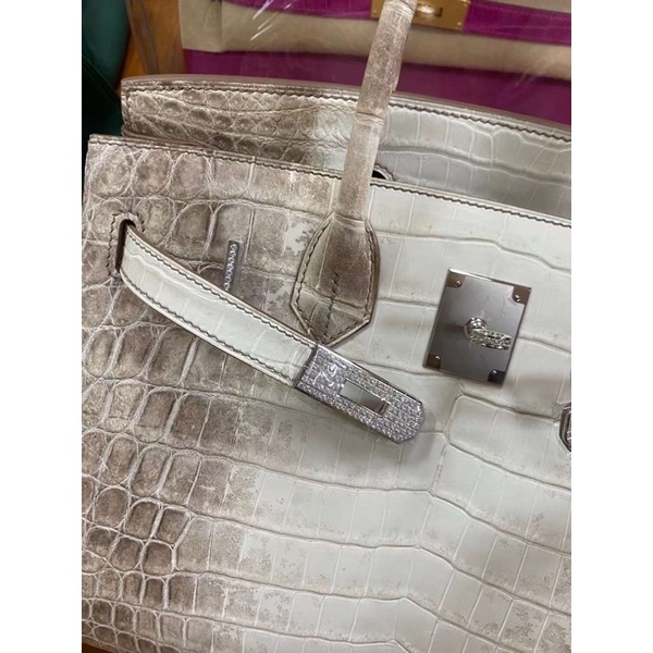 Túi hm bikin bạch tạng