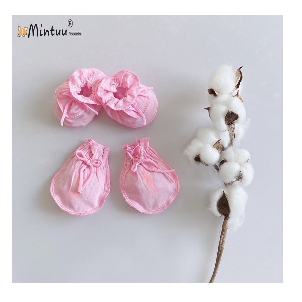 Set 5 bộ bao tay chân sơ sinh cho bé vắt màu, chất liệu vải 100% cotton, thương hiệu MINTUU