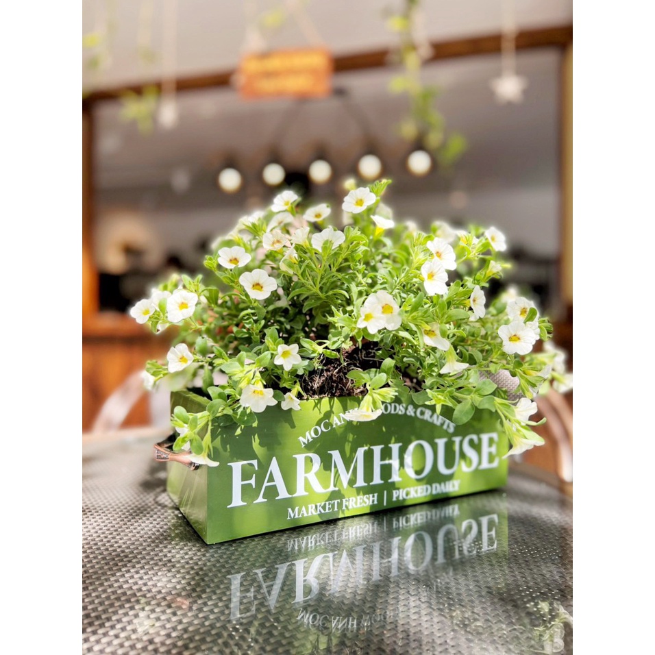 Giỏ hoa Decor Trang Trí Nhà Cửa, Giỏ Gỗ Quai Cầm Vintage Kích Thước 28x14x11cm