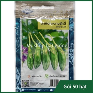 Hạt giống cà dừa abong thái lan gói 100 hạt
