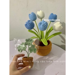[Ảnh thật] CHẬU HOA TULIP LEN CÁC SIZE HANDMADE