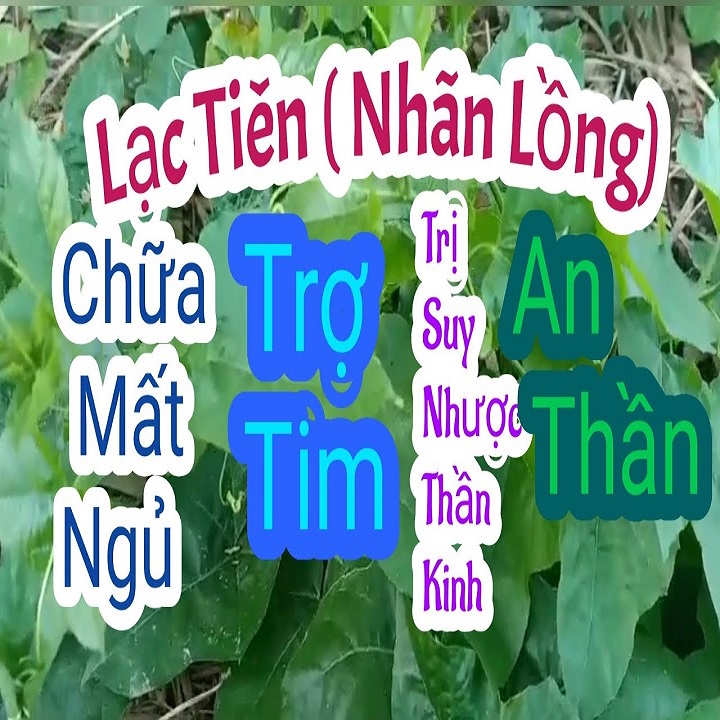 Cây Lạc Tiên  tươi 1kg