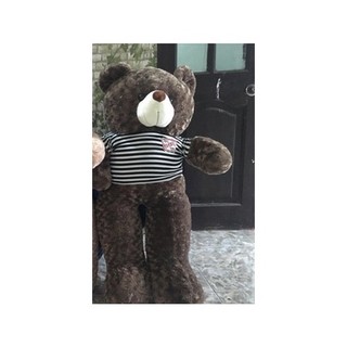 gấu bông teddY 1m1