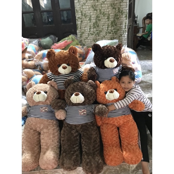 gấu bông teddY 1m1