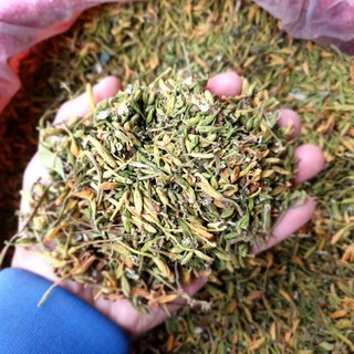 hoa đu đủ đực sấy lạnh 1kg