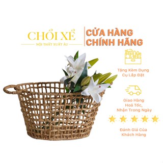 Giỏ Lục Bình Trang Trí - Chổi Xể