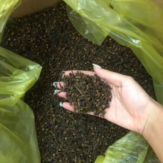 Hạt mùi, hạt ngò 1kg