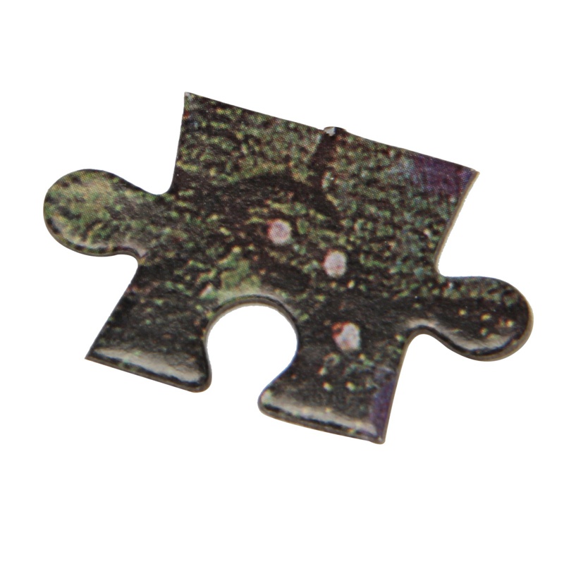 Bộ Đồ Chơi Xếp Hình 1000 Mảnh DIY 1019 Dành Cho Trẻ Em Và Người Lớn