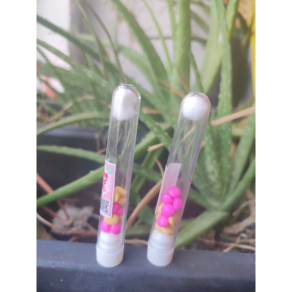 Siết Eo Xổ Mỡ Thái X10