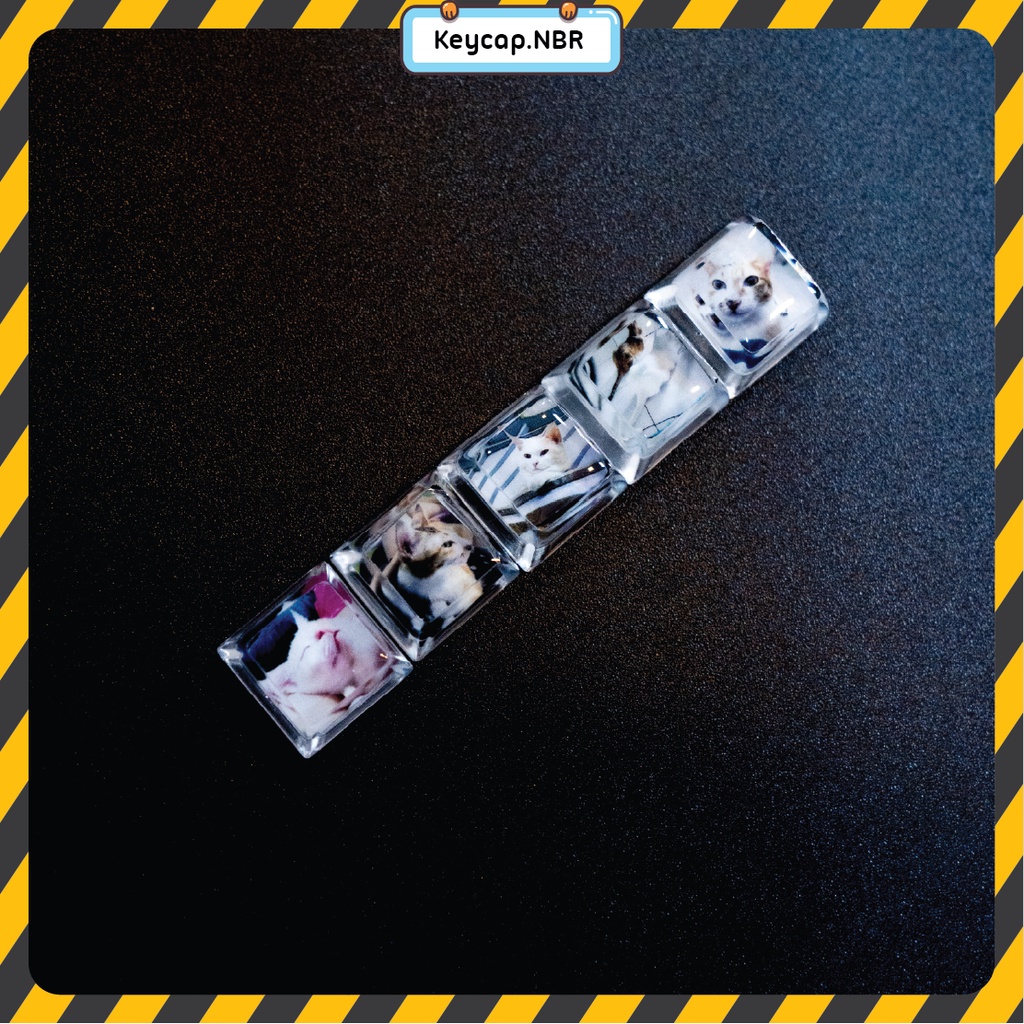 Keycap Ảnh Nền Theo Yêu Cầu trang trí bàn phím cơ