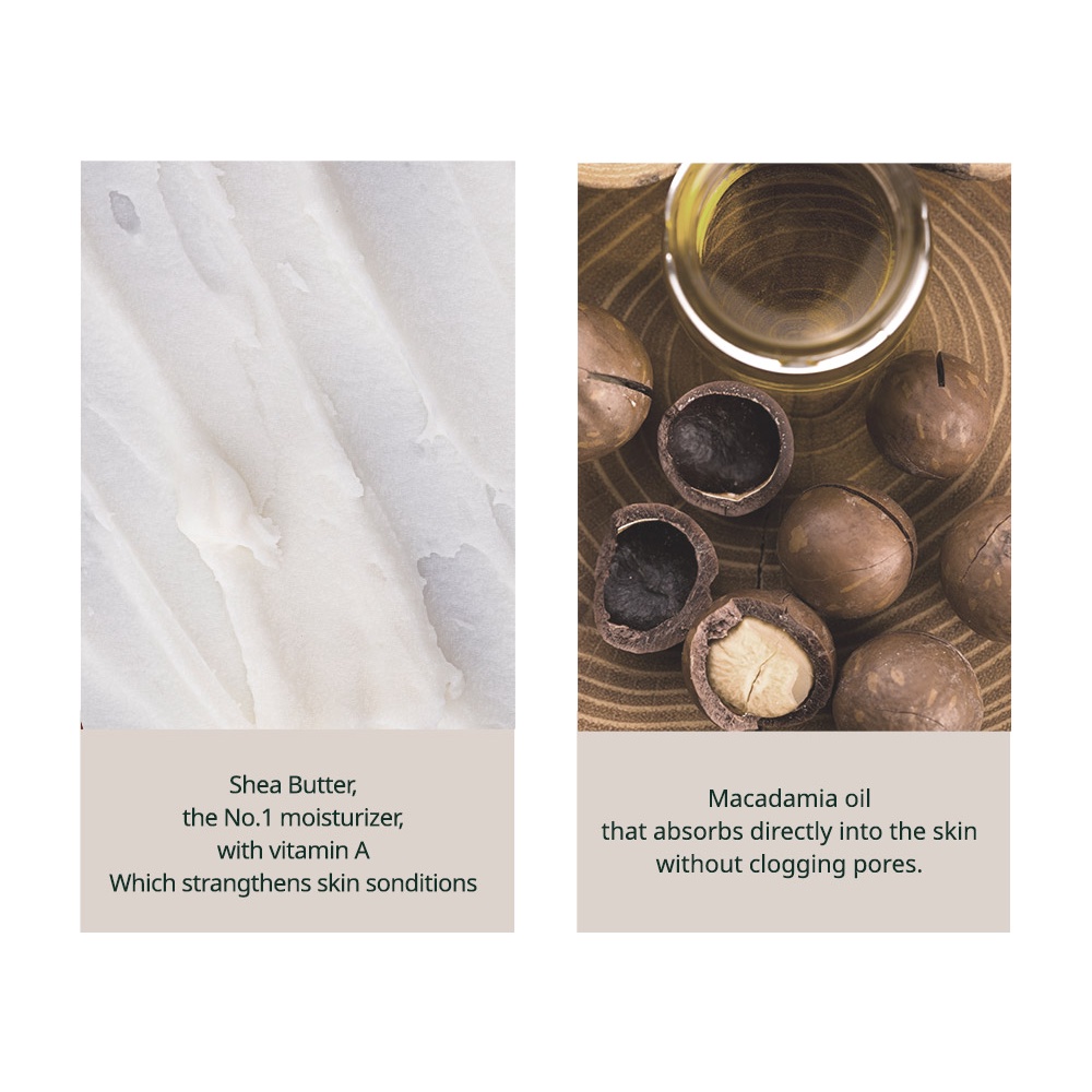 Vegan Tinted Lip Balm - 5colors