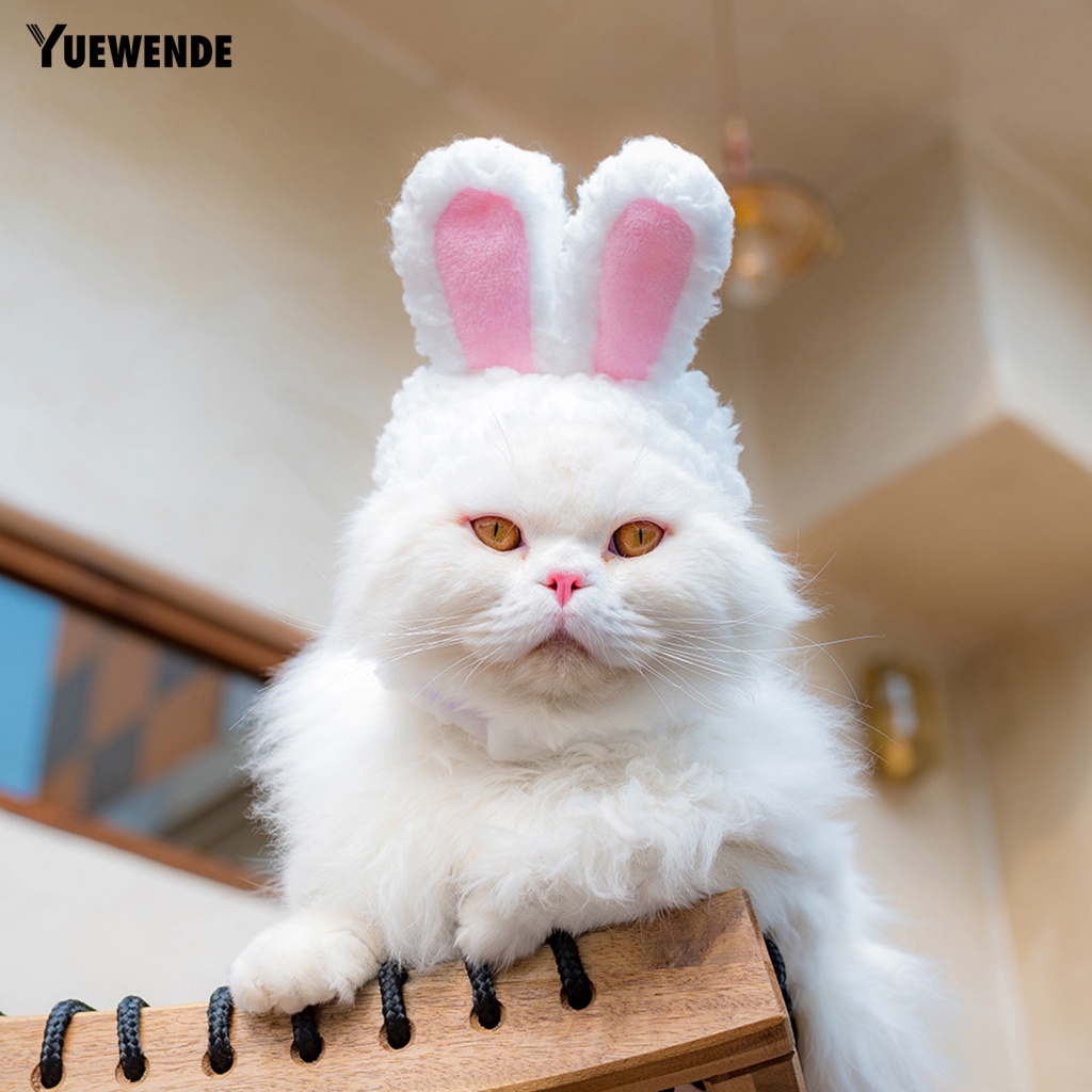 Mũ Cotton Tai Thỏ Hoạt Hình Đáng Yêu Cho Thú Cưng