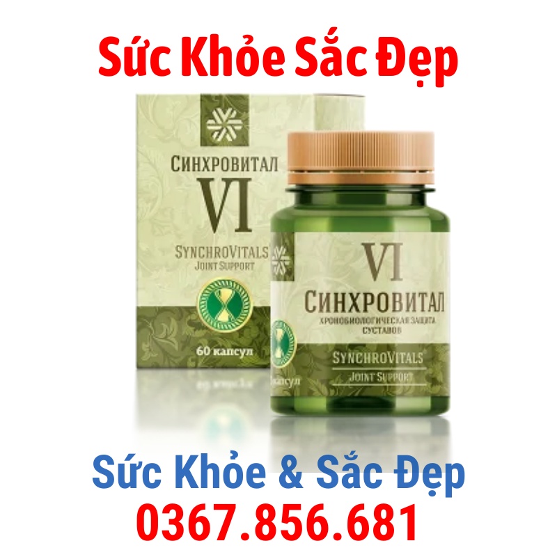 [Hỗ Trợ Xương Khớp] SYNCHROVITALS VI - Viên uống bảo vệ, phục hồi chức năng xương khớp Siberian – 60 viên